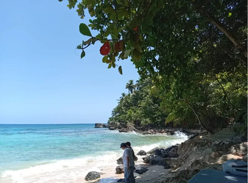 Playa Grande, El Saltadero y Laguna Gri-Grí (con comida) 3