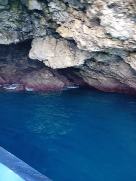 Playa Grande, El Saltadero y Laguna Gri-Grí (con comida) 4