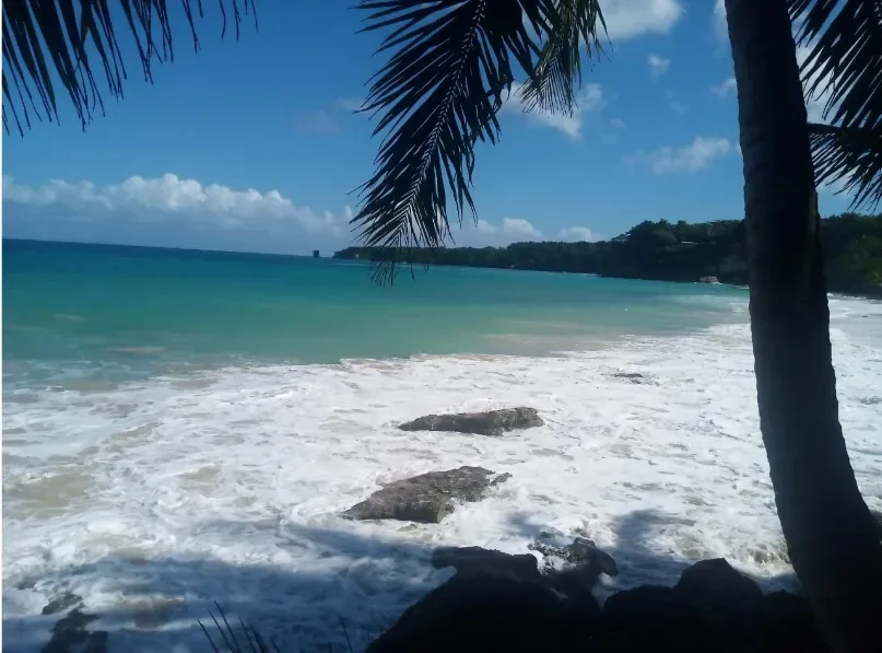Playa Grande, El Saltadero y Laguna Gri-Grí (con comida) 6