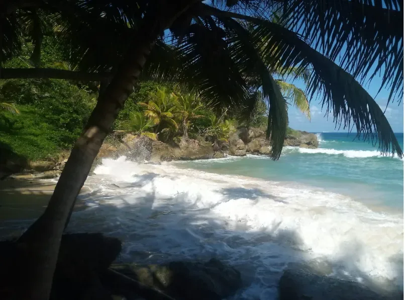 Playa Grande, El Saltadero y Laguna Gri-Grí (con comida) 9