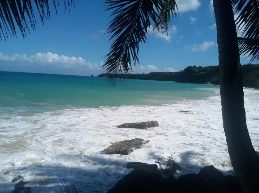 Playa Grande, El Saltadero y Laguna Gri-Grí (con comida) 12
